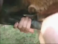 A horse screws up a cute blue-haired girl with big love melons.